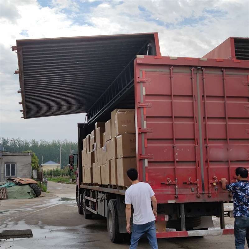 玛沁县扎囊县：物流专线的高效货运之旅
